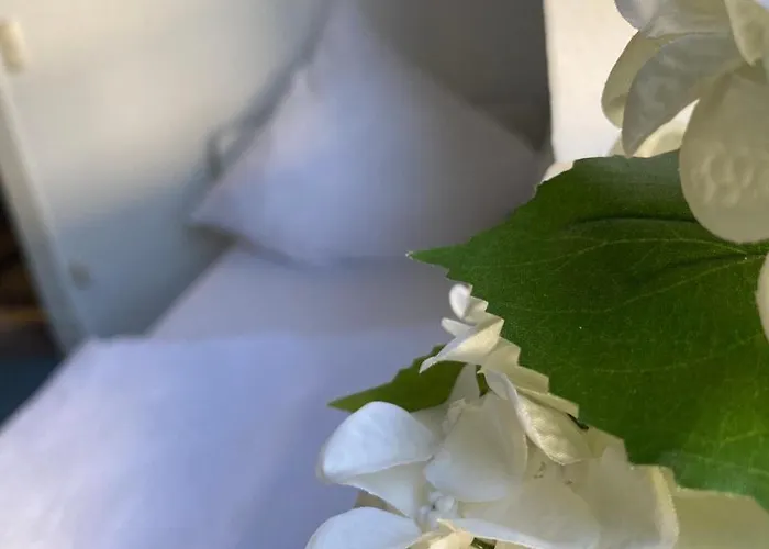 Schicke Monteurunterkunft In Mit Drei Wohneinheiten