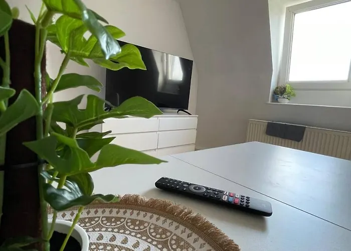 Apartamento Schicke Monteurunterkunft In Mit Drei Wohneinheiten *